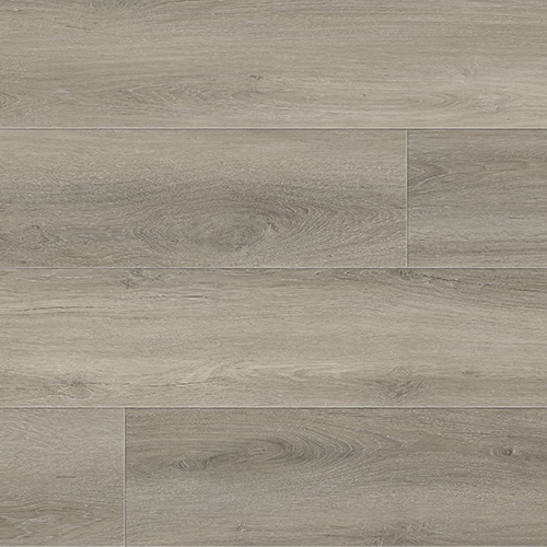 Brume — Cool Grey