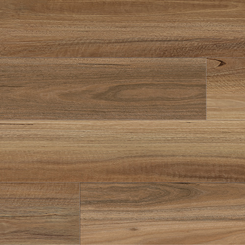 Forêt — Mid Brown