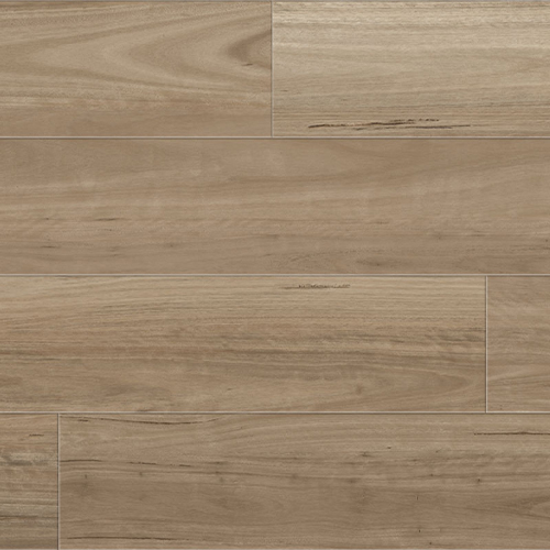 Châtaigne — Mid Brown